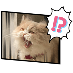[LINEスタンプ] もっぷのつかえるスタンプ