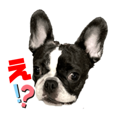 [LINEスタンプ] peroスタ