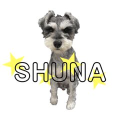 [LINEスタンプ] SHUNA STICKER ❤︎
