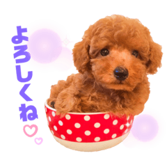 [LINEスタンプ] 可愛いオラちゃんのスタンプ