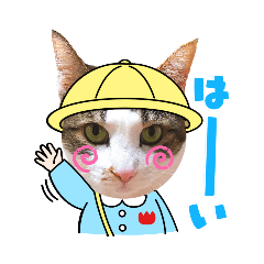 [LINEスタンプ] いぬとも＆うちの⑤にゃんこ②