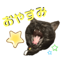 [LINEスタンプ] 小豆ちゃんの日常②