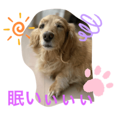 [LINEスタンプ] クレアちゃんの日常