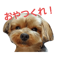 [LINEスタンプ] SoRamame 2