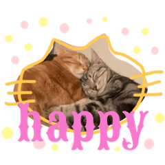 [LINEスタンプ] きなこなつの日常 2