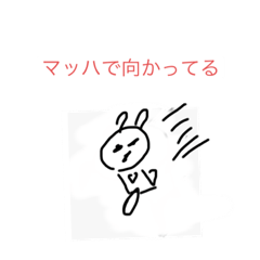 [LINEスタンプ] パンダみたいなパンダ