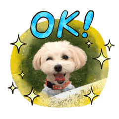 [LINEスタンプ] マルプーのまる。