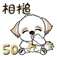 [LINEスタンプ] シーズー犬50『あいづち』