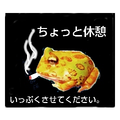 [LINEスタンプ] カエルさんベルツノガエル4
