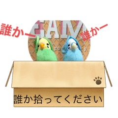 [LINEスタンプ] インコスタンプ第2号
