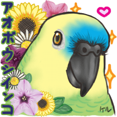 [LINEスタンプ] アオボウシインコ