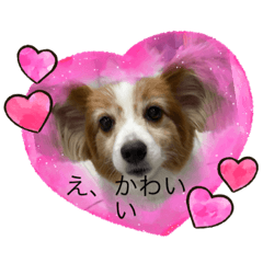 [LINEスタンプ] チャミとマロ