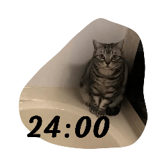 [LINEスタンプ] 帰るにゃ