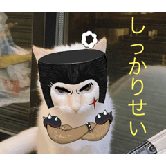 [LINEスタンプ] かわいい白猫の甘えん坊スタンプ^_^2