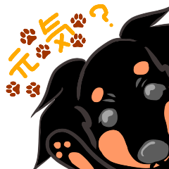 [LINEスタンプ] ブラタンちゃんの日常