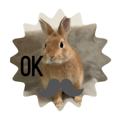 [LINEスタンプ] cocousagisann