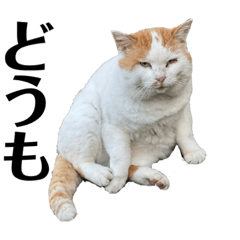 [LINEスタンプ] 俺、いちのじょう。2