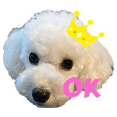 [LINEスタンプ] ARURURU
