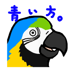 [LINEスタンプ] ルリコンゴウインコのイラストスタンプ