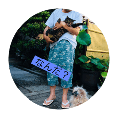 [LINEスタンプ] ぼてこ