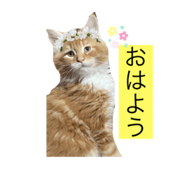 [LINEスタンプ] テオ・スタンプ
