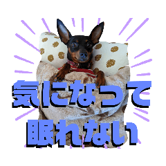 [LINEスタンプ] 名犬サクちゃん5