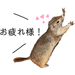 [LINEスタンプ] リチャードソンジリス ムク vol.01