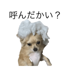 [LINEスタンプ] チルスタンプ！！