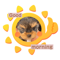 [LINEスタンプ] 小福ちゃん①