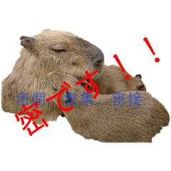 [LINEスタンプ] どー物
