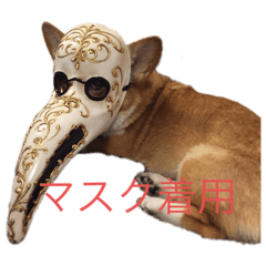 [LINEスタンプ] コーギー のハニー 第二弾