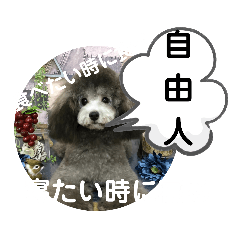 [LINEスタンプ] たけしのスタンプ その19