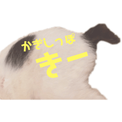 [LINEスタンプ] HAPPY鍵しっぽキー