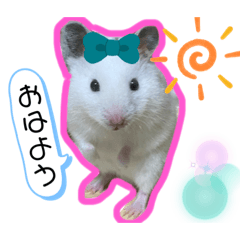 [LINEスタンプ] ラッキースタンプ。
