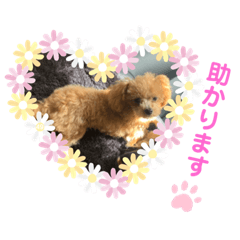 [LINEスタンプ] RONI♡LUKE③