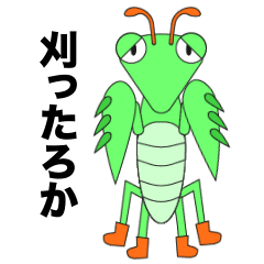 [LINEスタンプ] きもかわカマキリスタンプ