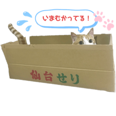 [LINEスタンプ] ラブこむぎちゃん2