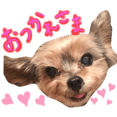 [LINEスタンプ] しょこら！②
