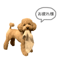 [LINEスタンプ] からあげくんvol.1