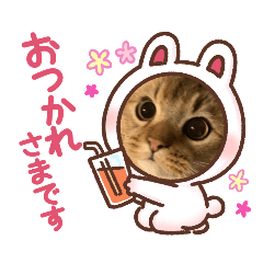 [LINEスタンプ] ライムちゃん！！！