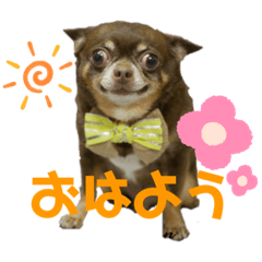[LINEスタンプ] ちーとぷーとたらふく