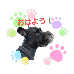 [LINEスタンプ] Mシュナ ジジのスタンプ