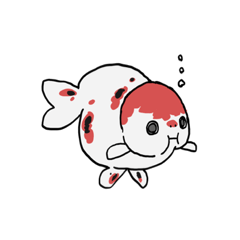 [LINEスタンプ] 金魚スタンプ！！