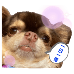 [LINEスタンプ] てぃらたろう②