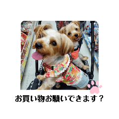 [LINEスタンプ] ♪よもちまライフ♪～家族連絡多め～