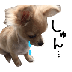 [LINEスタンプ] ちこぱんち