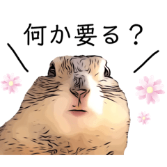 [LINEスタンプ] リチャードソンジリス ムク vol.02