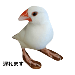 [LINEスタンプ] 待ち合わせシーン
