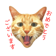 [LINEスタンプ] 茶トラ 猫 あいさつ ＆ 敬語 スタンプ