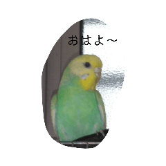 [LINEスタンプ] いろいろすたんぷ〜